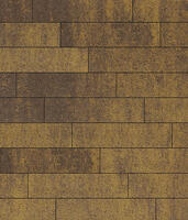  Брусчатка Выбор Прямоугольник Листопад 2.П.4 40 мм. Янтарь Гранит: внешний вид